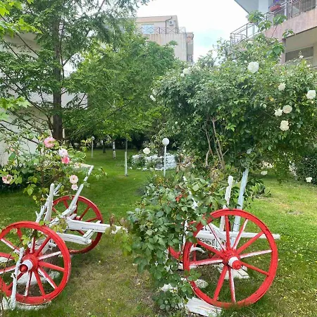 One- Bed Apart For Rent At Sunny Apartman *